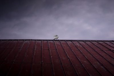 Low angle view of birds perching on railing