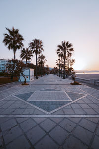 Scenic view of palm trees against clear sky