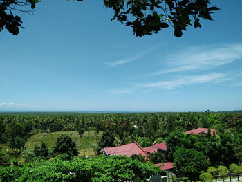 Scenic view of trees and buildings against sky