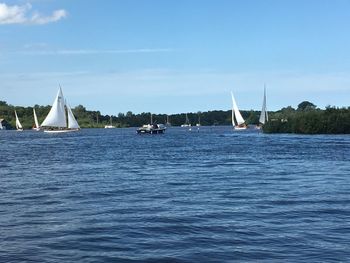 Sailboats sailing on sea against sky