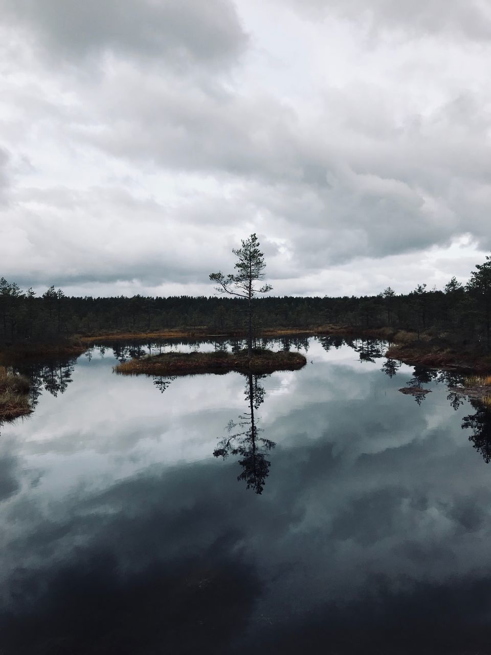 sky, cloud - sky, water, reflection, tranquility, tranquil scene, nature, lake, scenics - nature, beauty in nature, no people, tree, waterfront, day, plant, non-urban scene, symmetry, outdoors, reflection lake