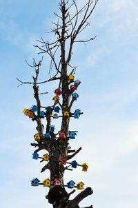 Low angle view of tree against sky