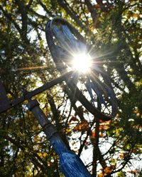 Low angle view of sun shining through trees