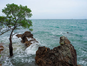 Scenic view of sea against sky