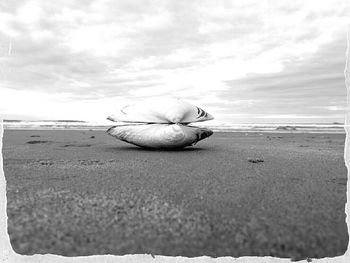 View of beach against sky