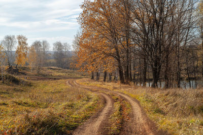 Dirt road amidst plants and trees during autumn