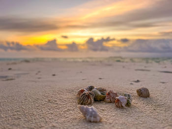 Scenic view of beach against sky during sunset