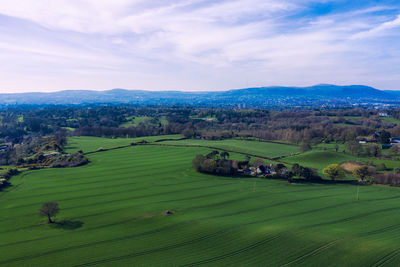 Scenic view of agricultural landscape against sky