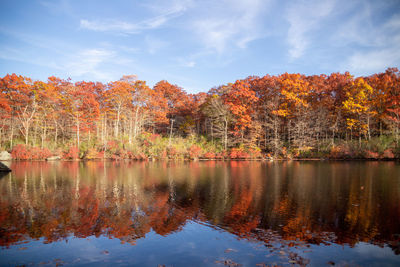 Scenic view of lake against sky during autumn