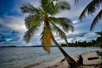 Palm tree by sea against sky