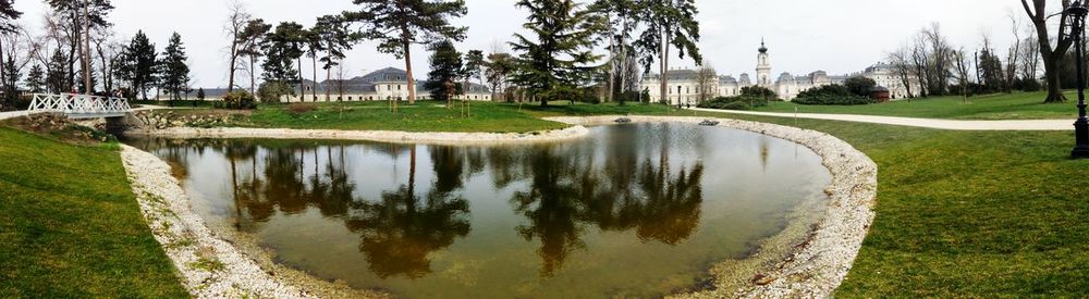 Reflection of trees in pond