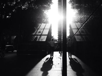 Sun shining through trees