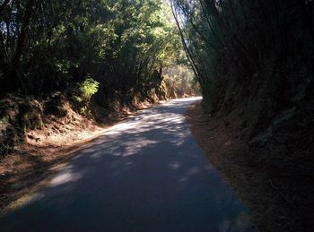 Empty road along trees in forest