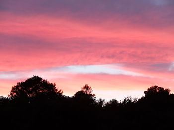 Silhouette trees against dramatic sky during sunset