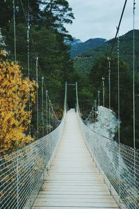 Narrow cable-stayed footbridge amidst trees during autumn