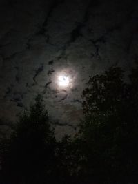 Low angle view of silhouette trees against sky at night