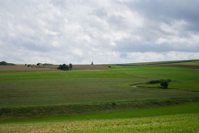 Scenic view of agricultural field against sky