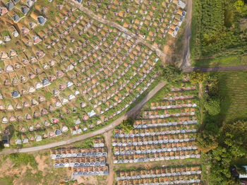 High angle view of trees and plants on field