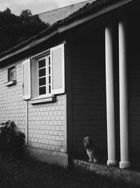 Dog sitting at porch