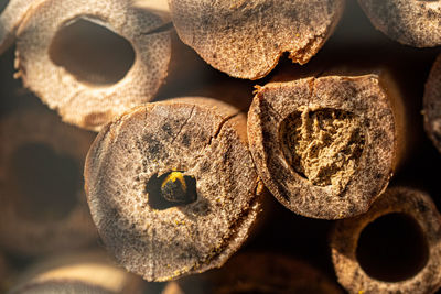 Full frame shot of bread