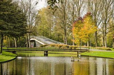 Two pedestrian bridges, one across a pond and one across a road in zuiderpark in autumn