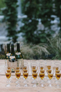 Rows of glasses of champagne