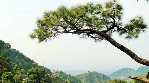 Scenic view of tree mountains against sky