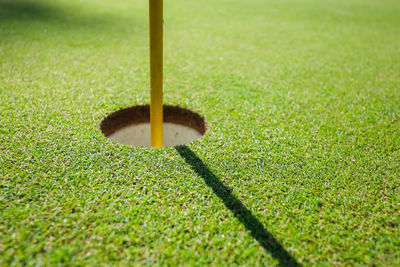 Close-up of golf ball on field