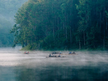 People sailing in sea against trees in forest