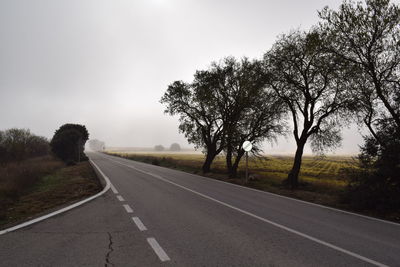 Empty foggy road by trees against sky
