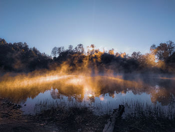 Reflection of trees in lake against sky