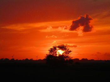 Silhouette trees on field against orange sky