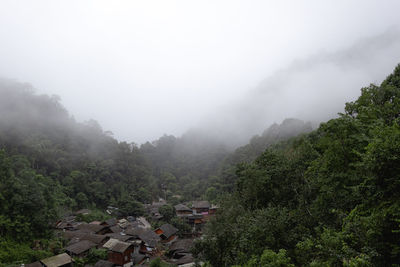 Scenic view of forest against sky