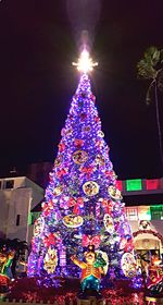 Low angle view of illuminated christmas tree