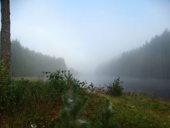 Scenic view of landscape against sky during foggy weather