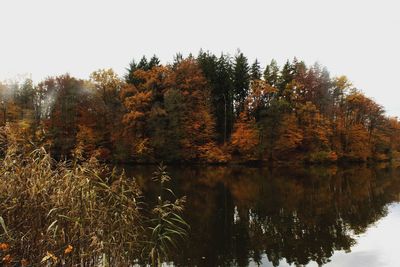 Trees by lake against sky during autumn