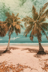 Summer beach with palm tree. concept of summer vacation background.