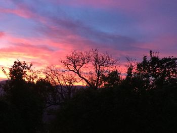 Silhouette trees against sky at sunset