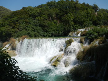 Scenic view of waterfall in forest