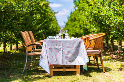 Empty chairs and tables set apple orchard 