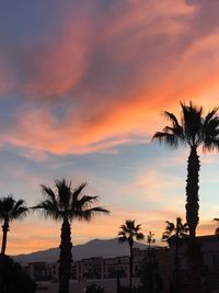 Silhouette palm trees against romantic sky at sunset