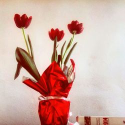 Close-up of red tulips