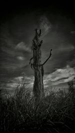 Scenic view of landscape against cloudy sky