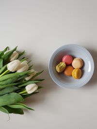 Close-up of food over white background