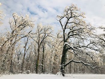 Bare trees on snow covered land against sky
