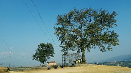 Trees on landscape against blue sky