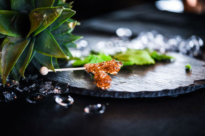 Close-up of leaves on table