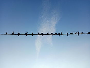 Low angle view of barbed wire against sky