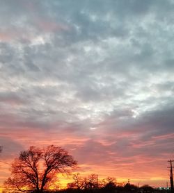 Low angle view of silhouette trees against dramatic sky