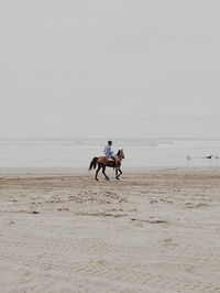 Horse riding horses on beach